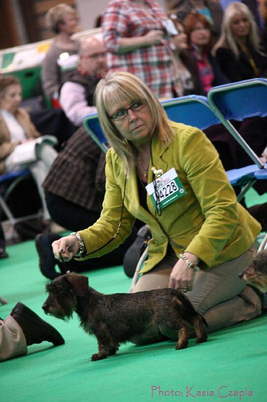 Crufts2011_2 1577.jpg